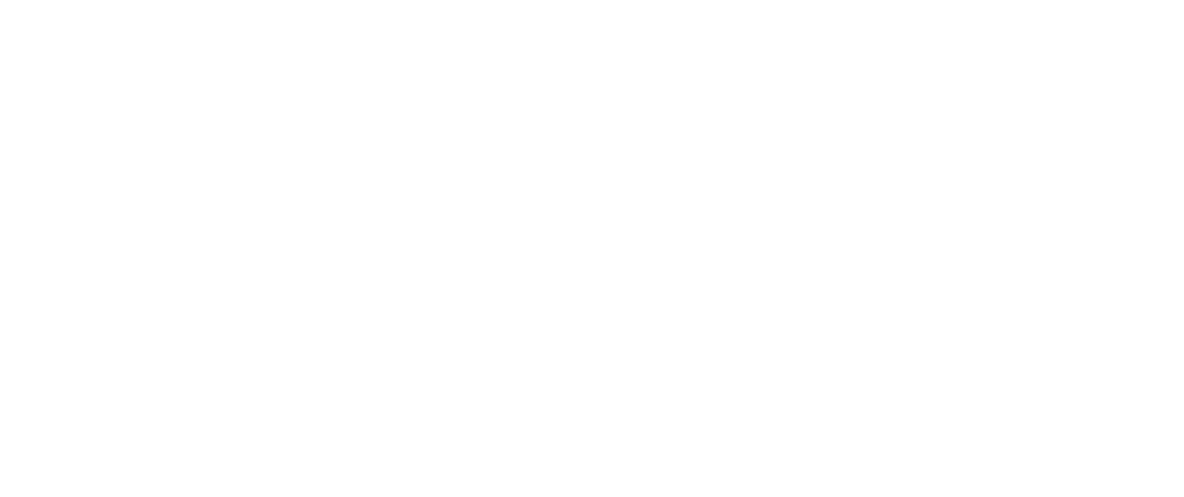 11 Desarrollos
